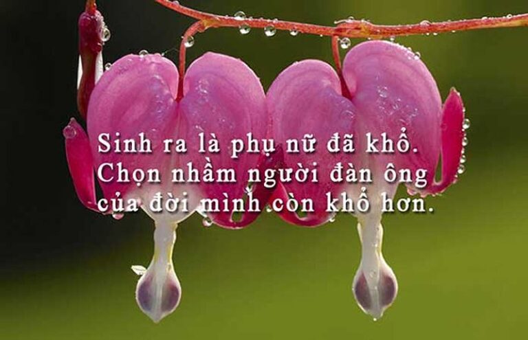 Review Đời Thay Đổi Khi Chúng Ta Thay Đổi: Đánh Giá Toàn Diện Cuốn Sách Của Andrew Matthews