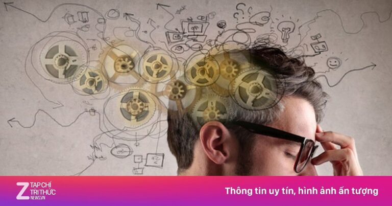 Bạn Không Thông Minh Lắm Đâu Review: Phân Tích Sâu Sắc Cuốn Sách Thay Đổi Tư Duy